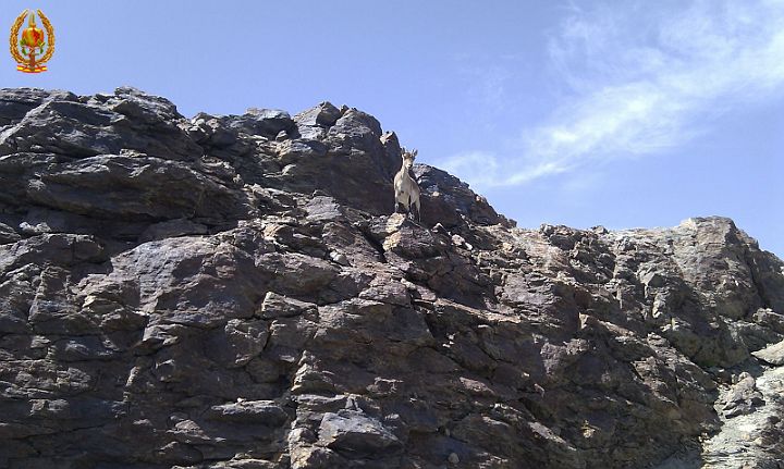 Laguna Larga 047.jpg